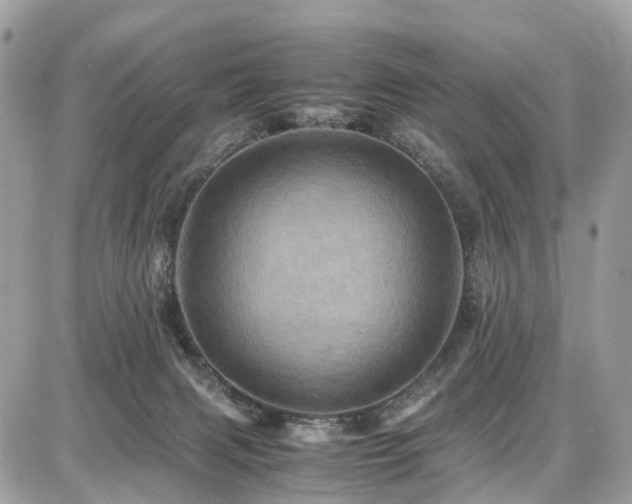 X0000086770079200704131152