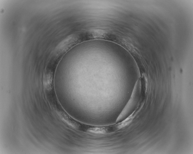 X0000086770082200704131152