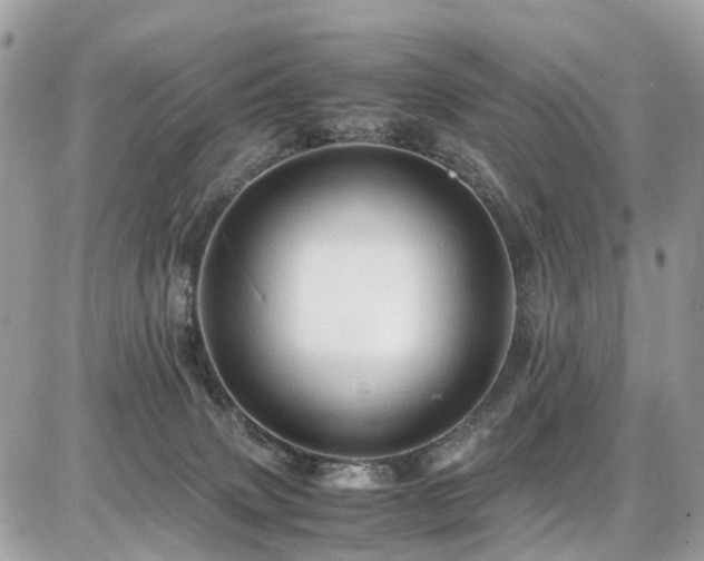 X0000086770083200704131152