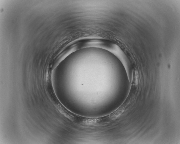 X0000086770084200704131152