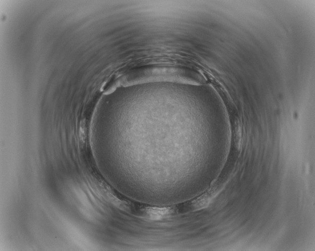X0000086770085200704131152