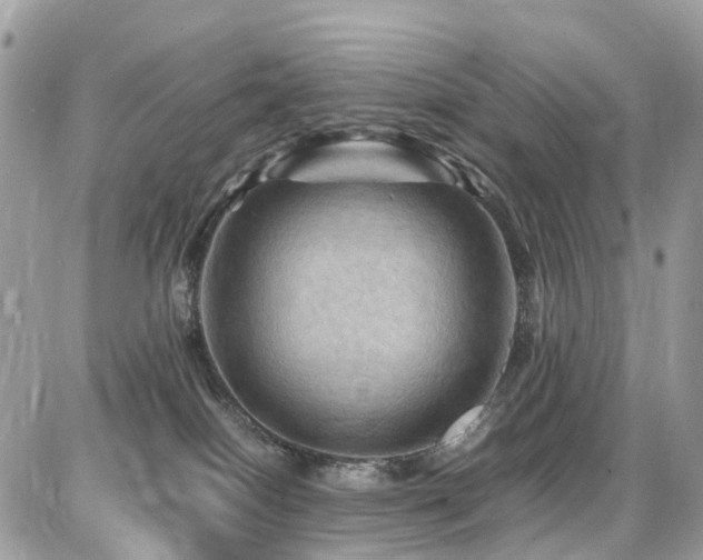 X0000086770086200704131152