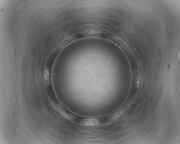 X0000086770087200704131153
