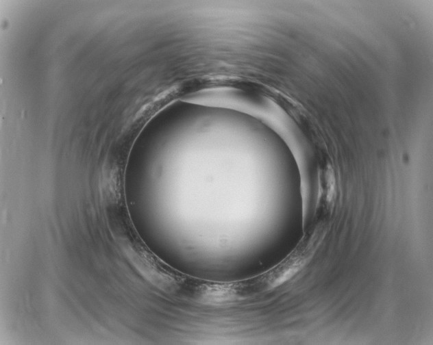 X0000086770088200704131153