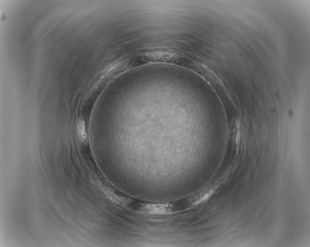 X0000086770089200704131153