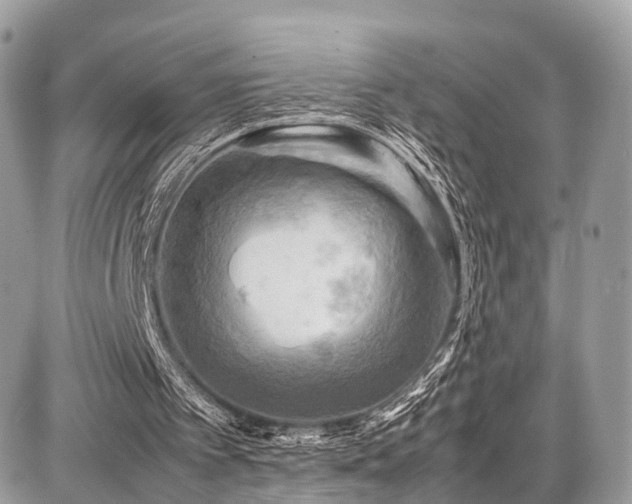 X0000086770097200704131152