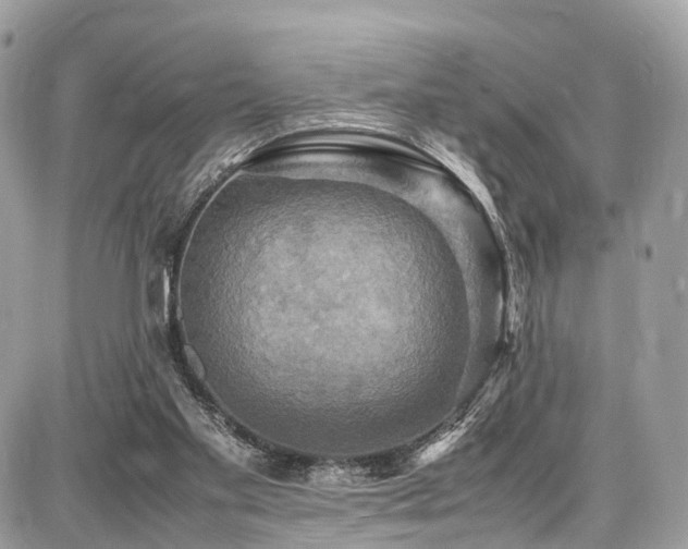 X0000086770109200704131152