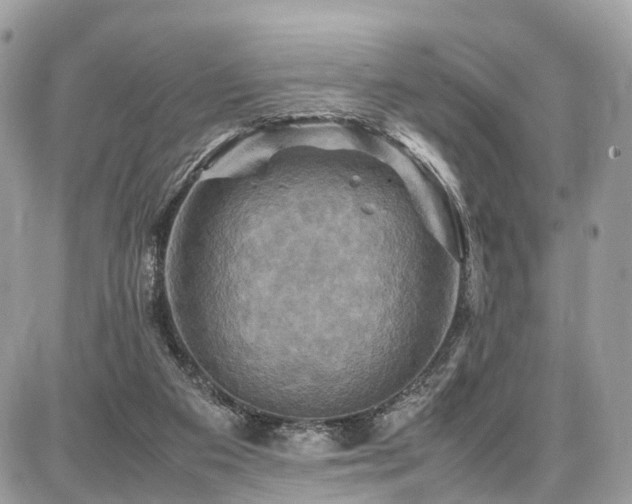 X0000086770113200704131152