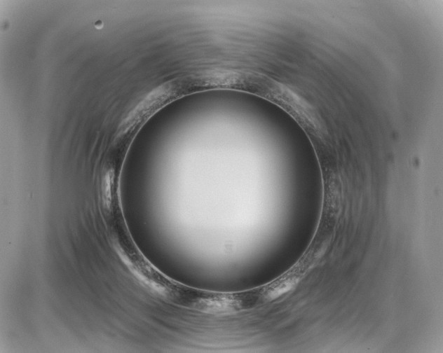 X0000086770118200704131152