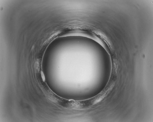X0000086770121200704131151