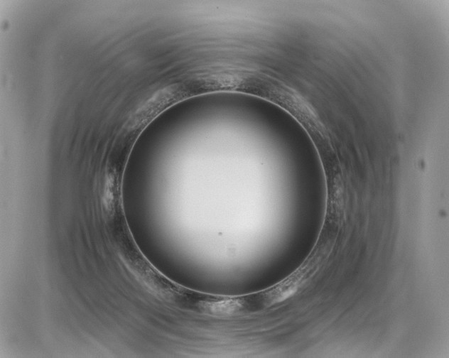 X0000086770122200704131151