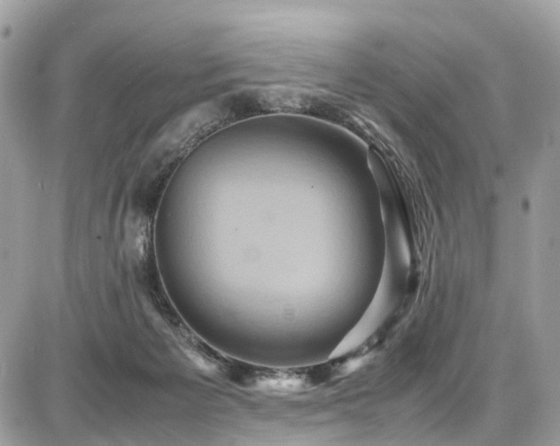 X0000086770125200704131151