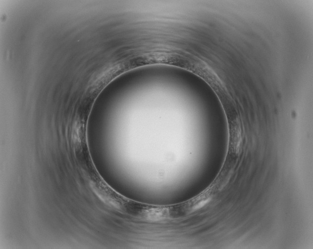 X0000086770126200704131151