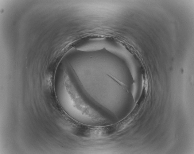 X0000086770127200704131151