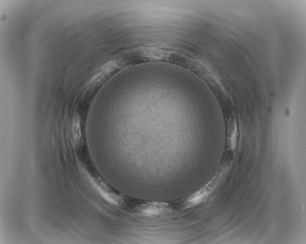 X0000086770128200704131151