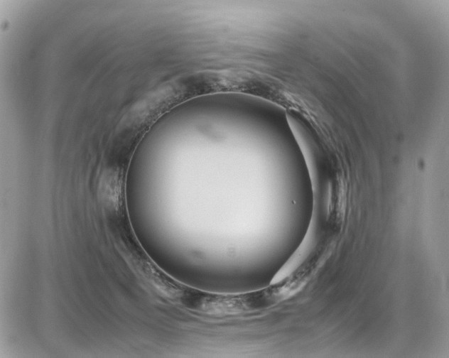 X0000086770129200704131151