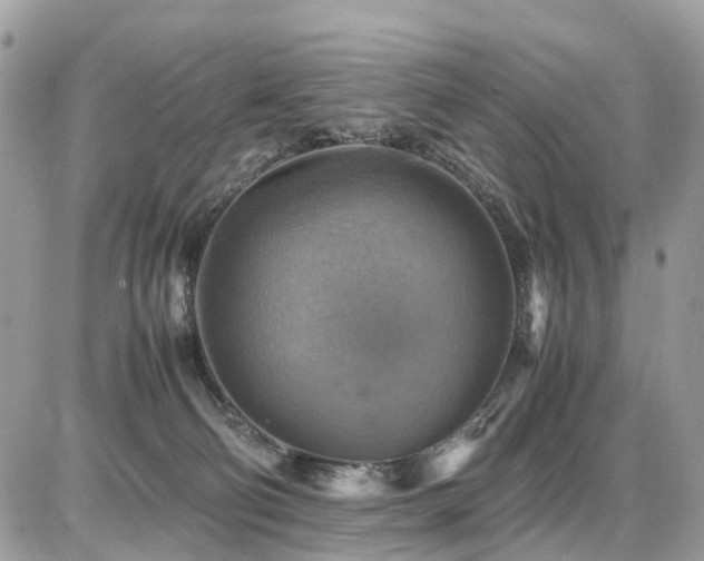 X0000086770130200704131151