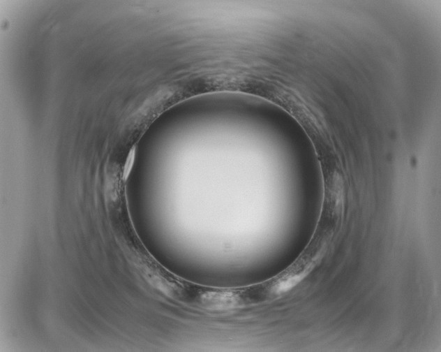 X0000086770133200704131151