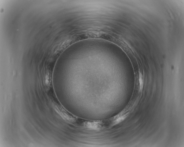X0000086770134200704131151