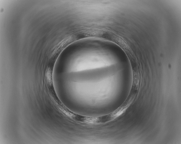 X0000086770143200704131151
