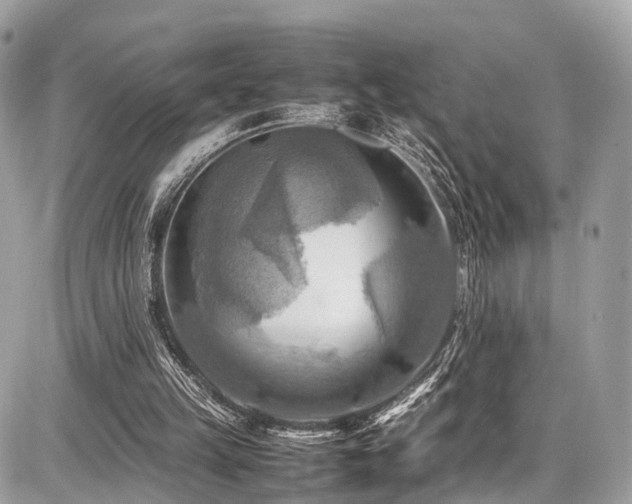 X0000086770149200704131150