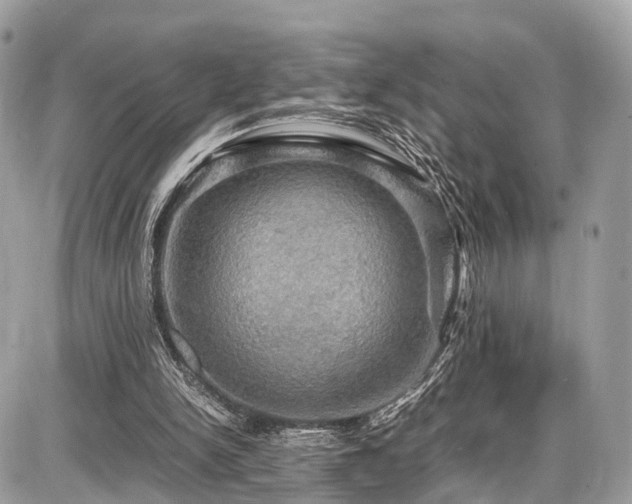 X0000086770150200704131150