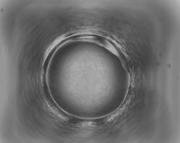 X0000086770152200704131150