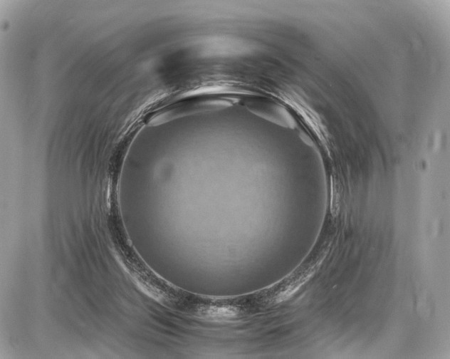 X0000086770157200704131150