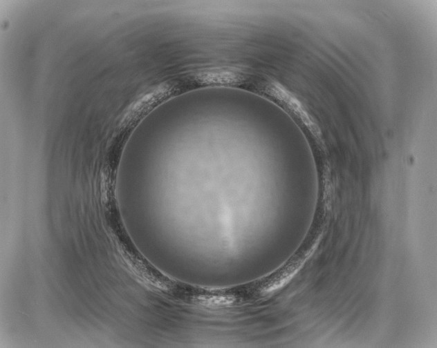 X0000086770161200704131151