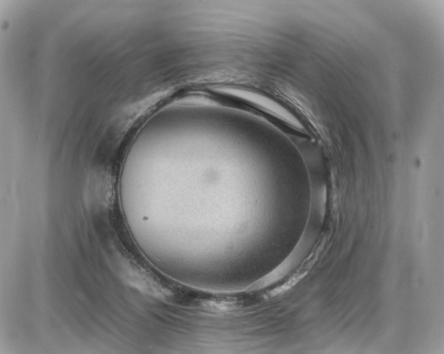 X0000086770164200704131151