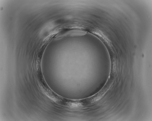 X0000086770165200704131151