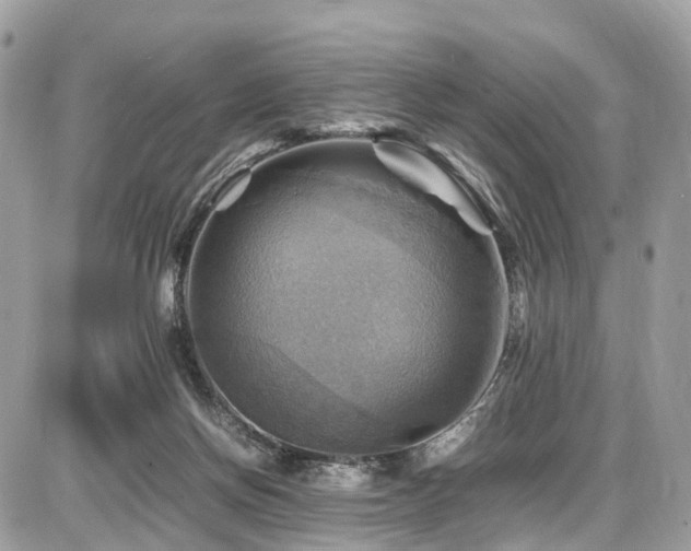 X0000086770166200704131151