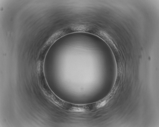 X0000086770167200704131151