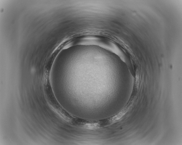 X0000086770168200704131151