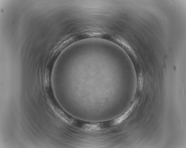 X0000086770170200704131151