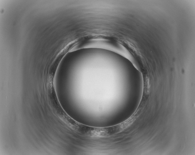 X0000086770172200704131151