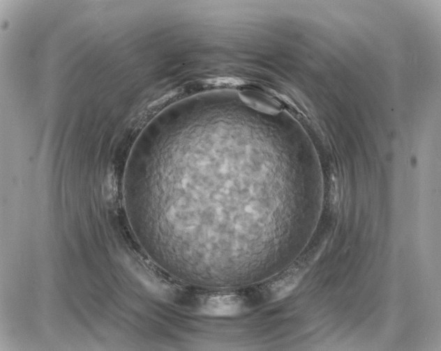 X0000086770173200704131151