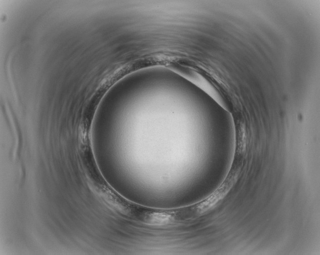 X0000086770176200704131151