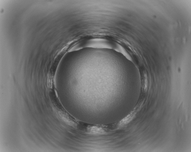 X0000086770180200704131151