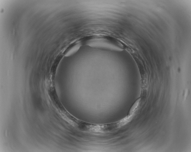 X0000086770182200704131151