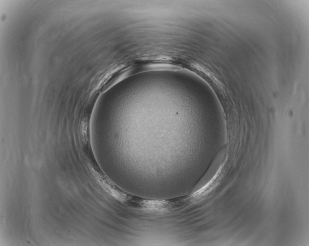 X0000086770192200704131151