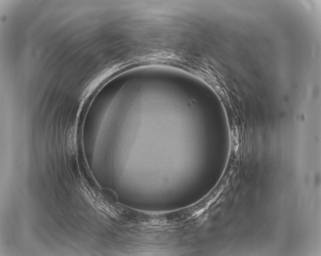 X0000086770196200704131150