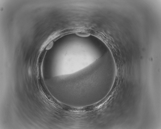 X0000086770198200704131150