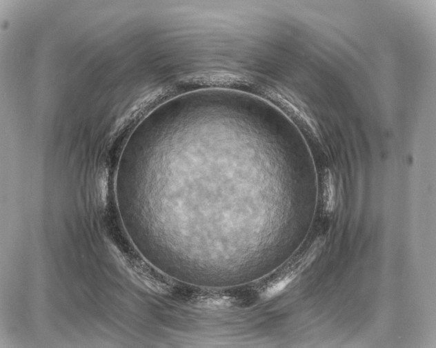 X0000086770206200704131150