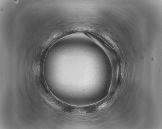 X0000086770207200704131150