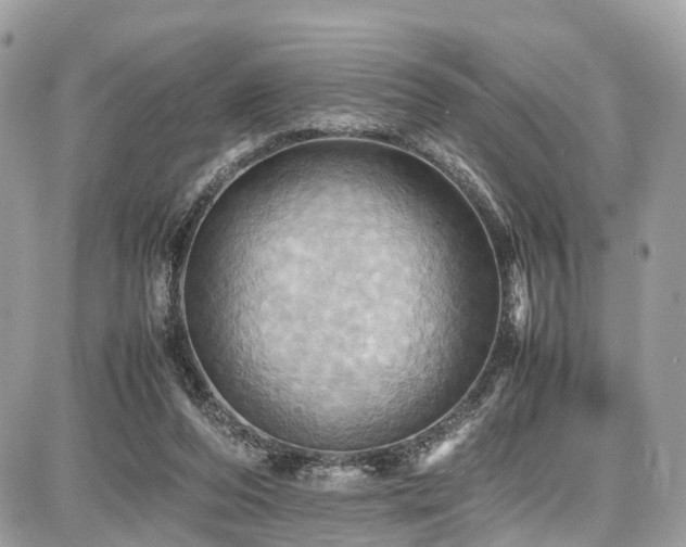 X0000086770208200704131150