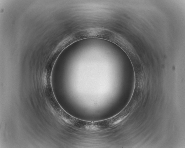 X0000086770216200704131150