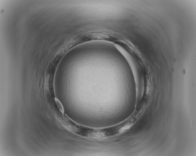 X0000086770217200704131150