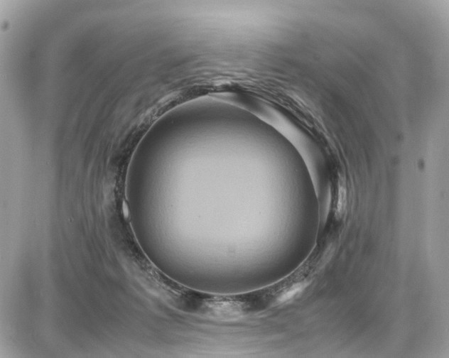 X0000086770221200704131150