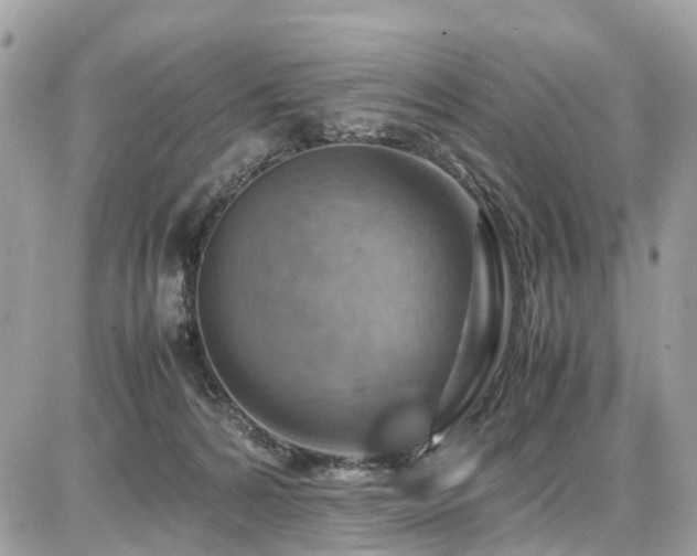 X0000086770224200704131150